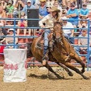 Meet your Posher, Hailey