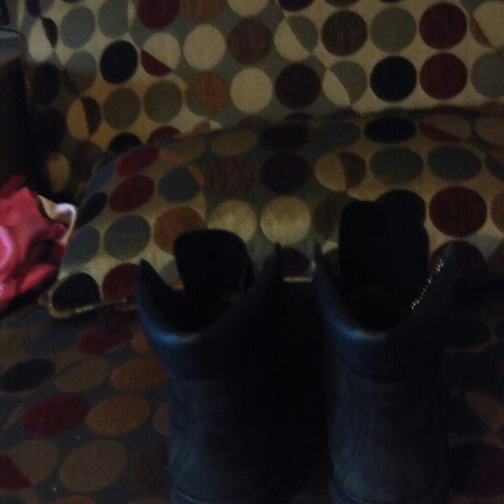 Timberlands - Picture 2 of 4