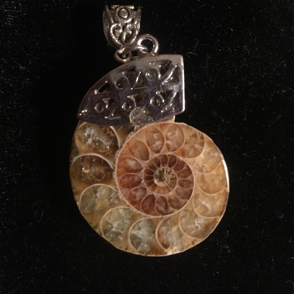 Ammonite fossil pendant spiral NWOT
