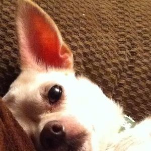 Meet your Posher, Lindsey