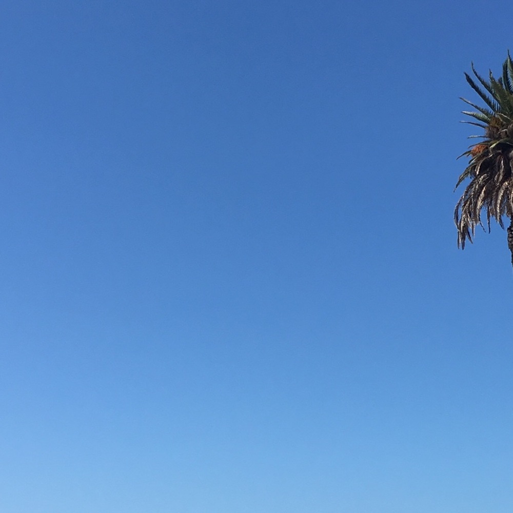 Meet your Posher, Carrick