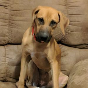 Meet your Posher, Rhonda