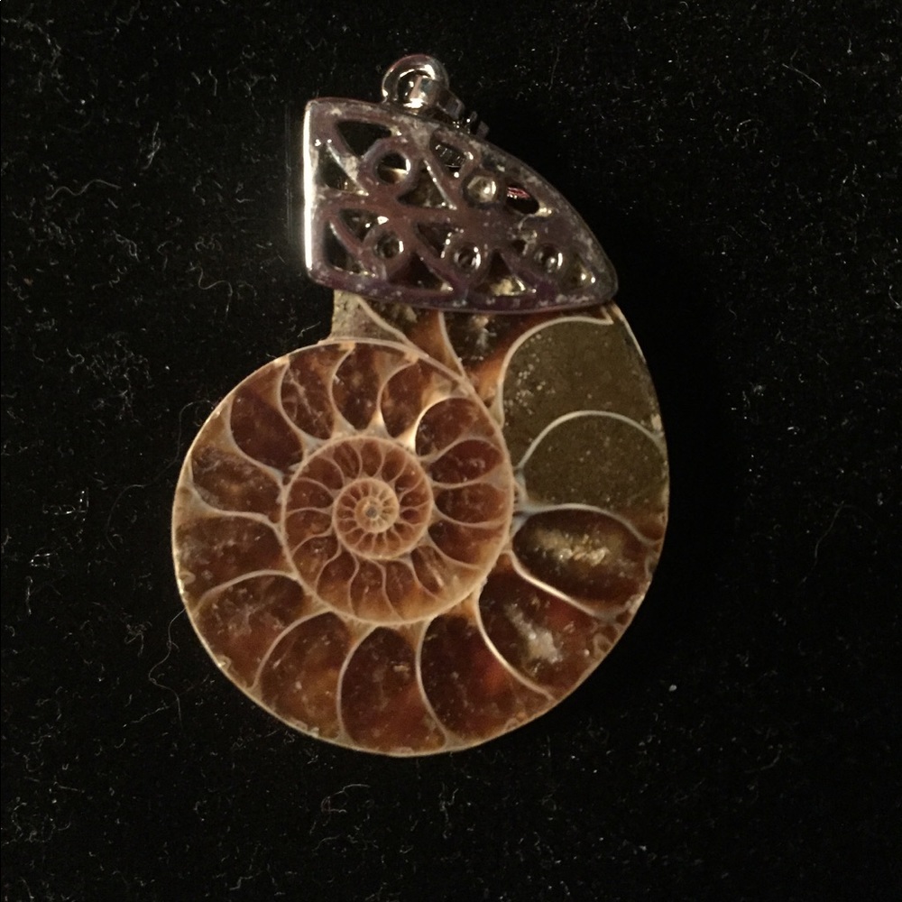 Ammonite fossil pendant silver finding