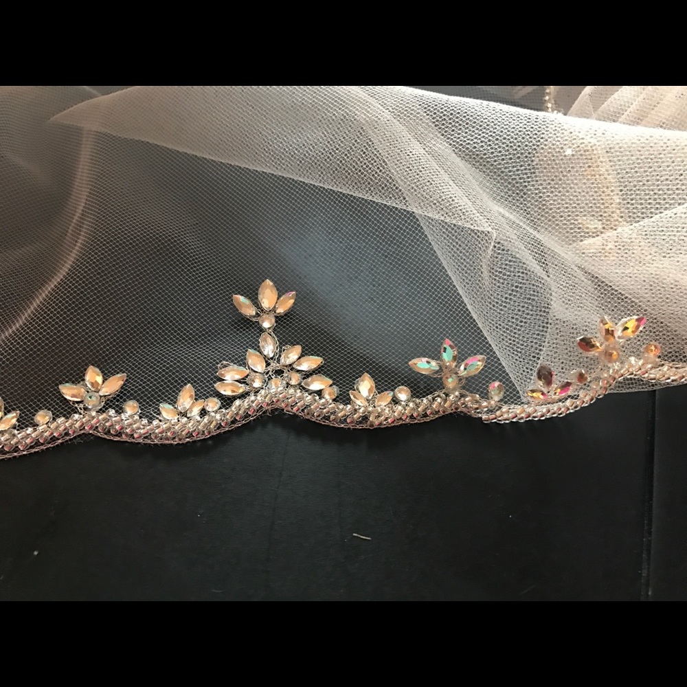 Blush Swarovski crystal veil