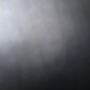 Meet your Posher, Cedrina