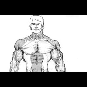 Meet your Posher, Armando