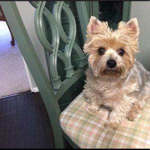 Meet your Posher, Cathy