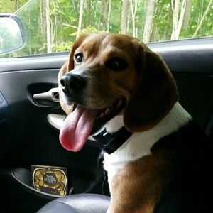 Meet your Posher, Ali