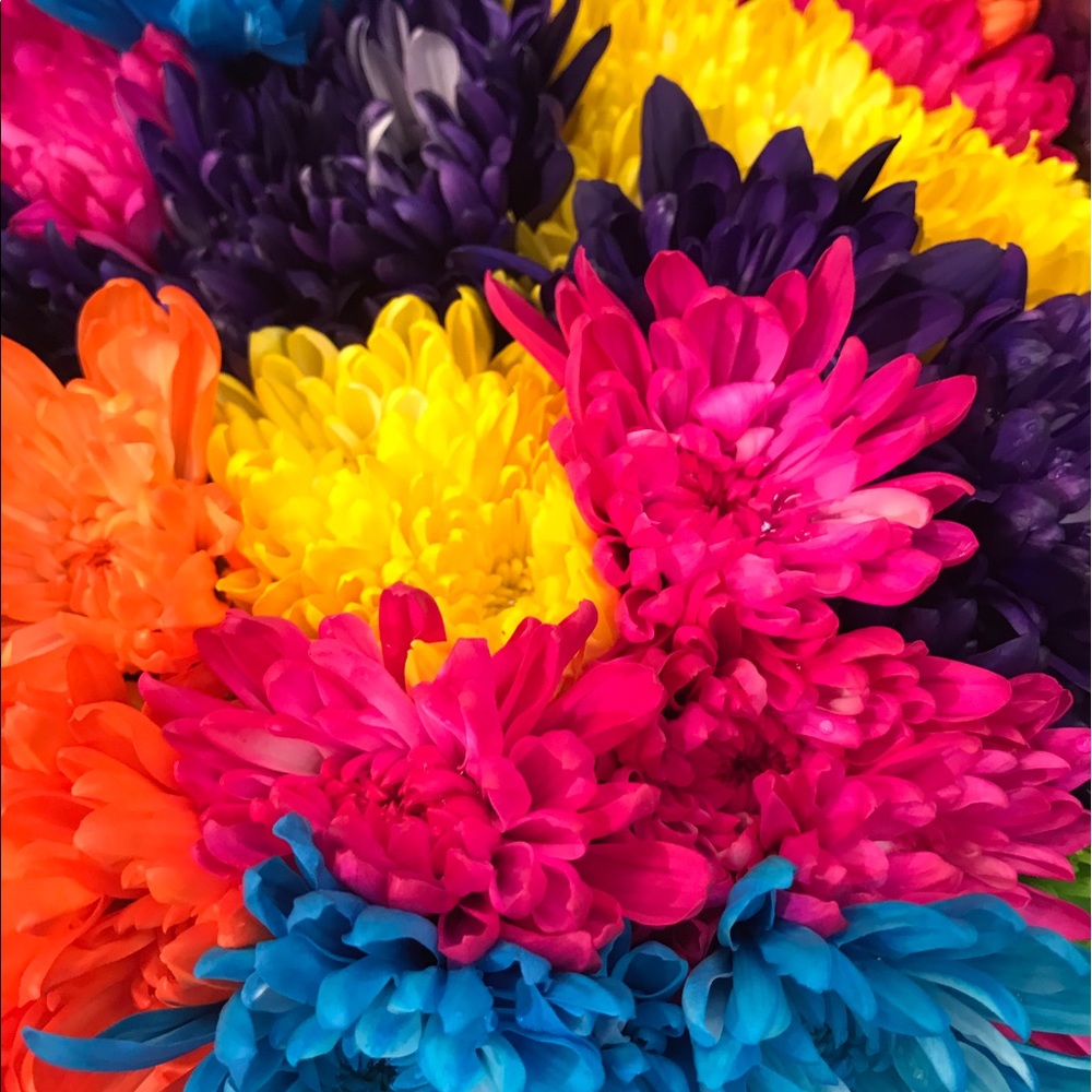 Meet your Posher, Sharon