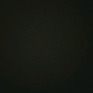 Meet your Posher, Abigail