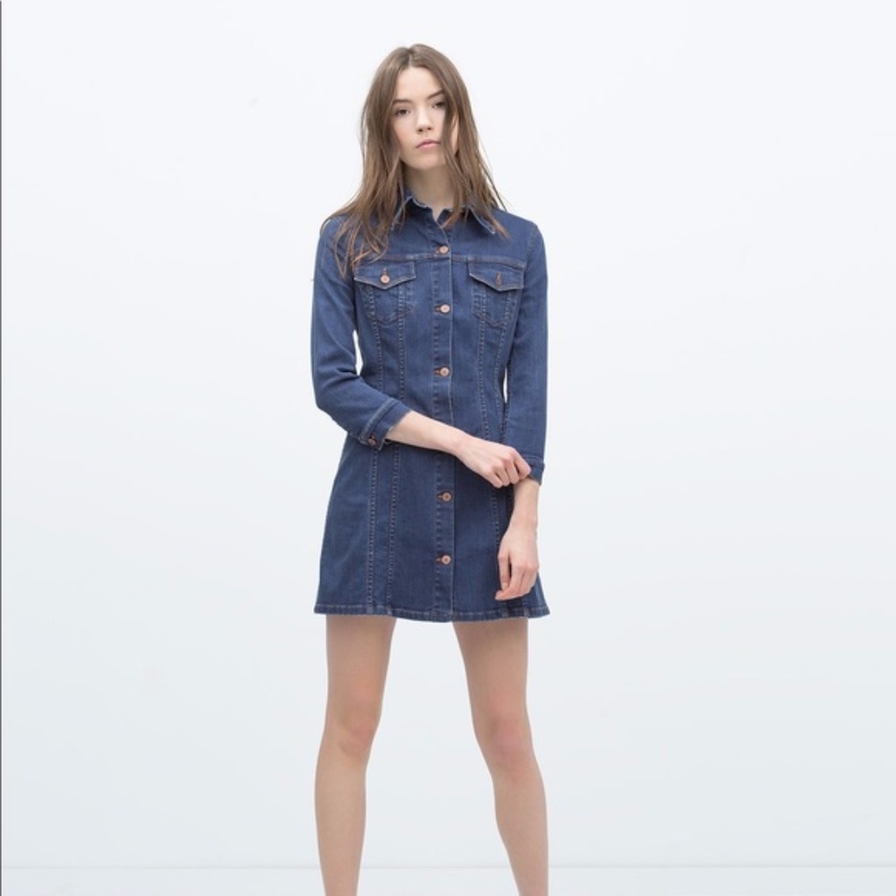 Zara Premium Denim Dress