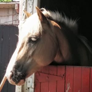 Meet your Posher, Anna