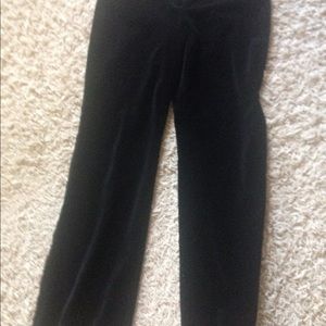 Ann Taylor LOFT velvet dress pants
