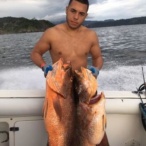 Meet your Posher, Jonathan