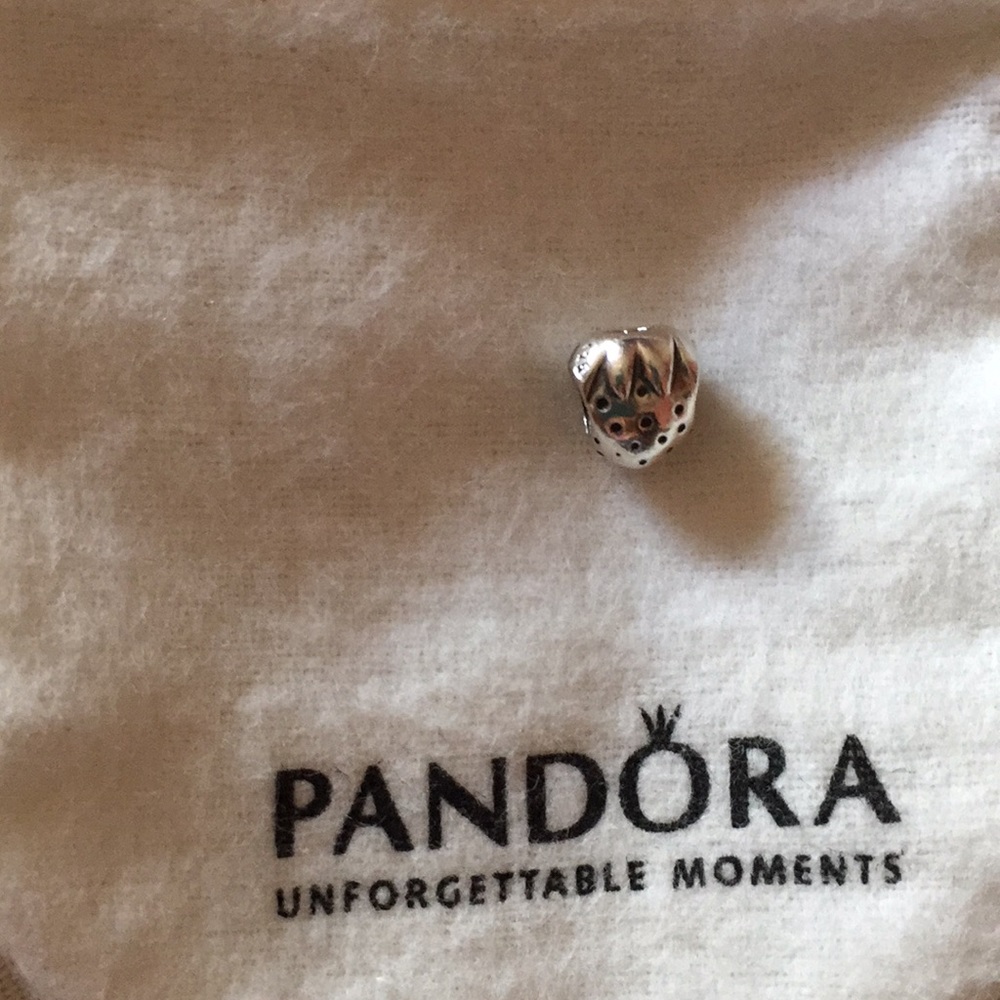 🍓Pandora charm