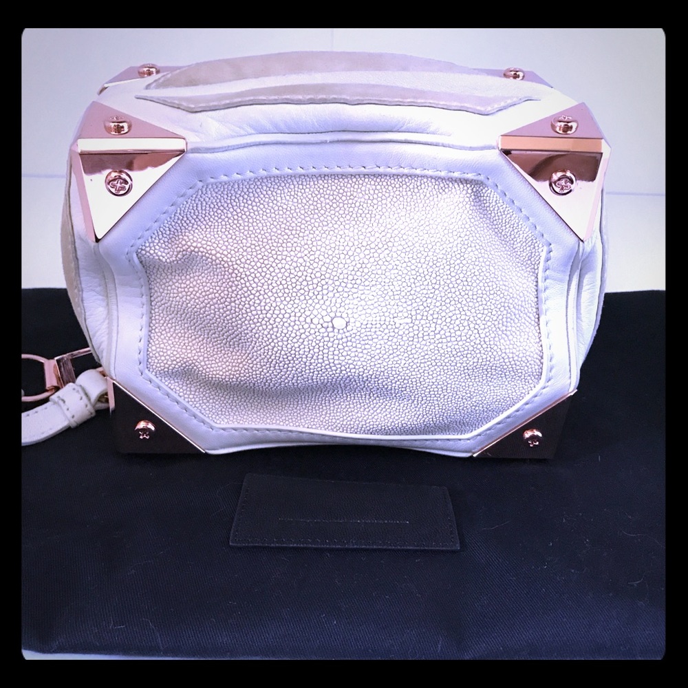 Alexander Wang White & Rose Gold Jade Clutch