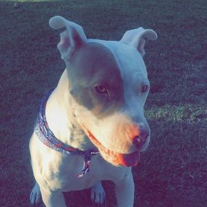 Meet your Posher, Isabella