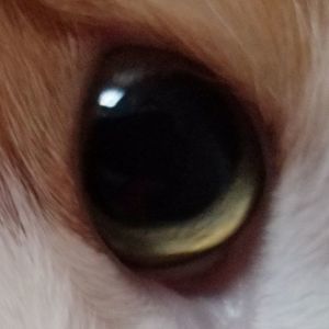 Meet your Posher, Courtney