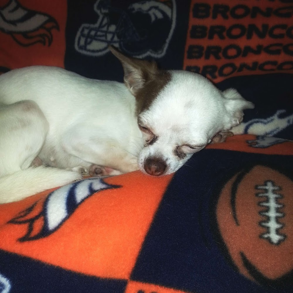 Meet your Posher, Katerina