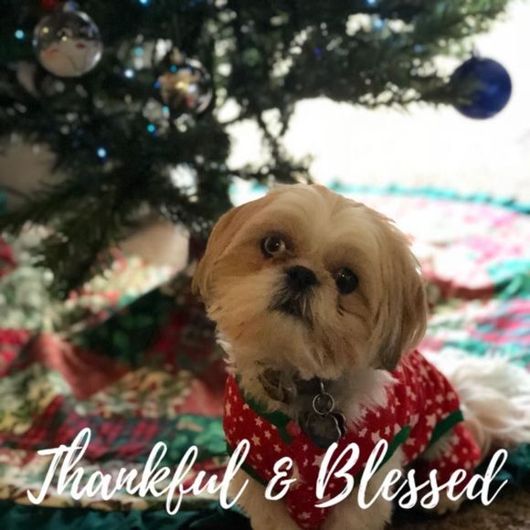 Meet your Posher, Riann - Picture 1 of 1