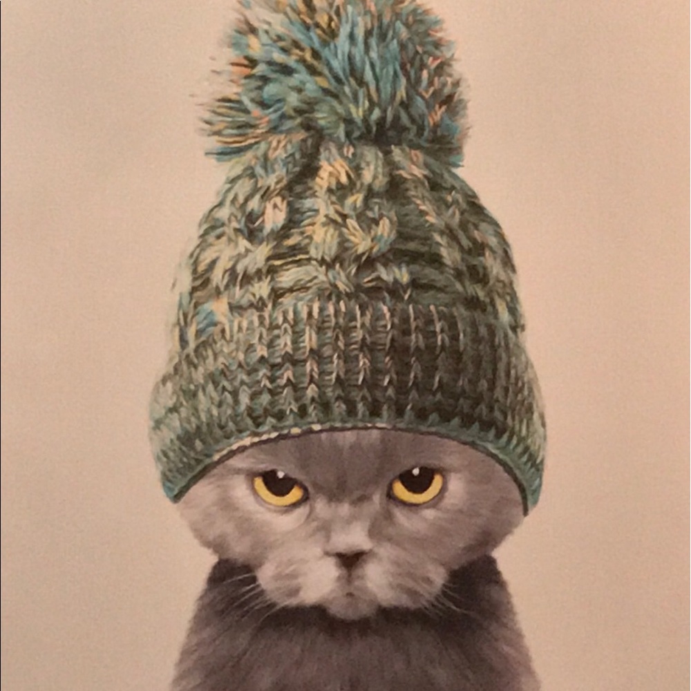 Meet your Posher, Rae