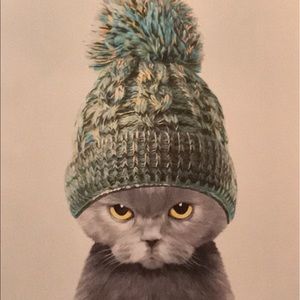 Meet your Posher, Rae