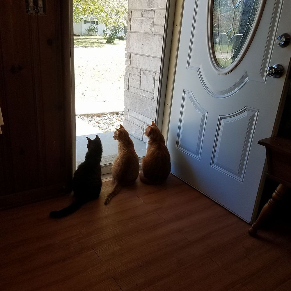 Meet your Posher, Kim