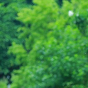 Meet your Posher, Vyshnavi