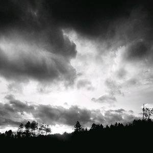 Meet your Posher, Sheri