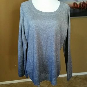 Ann Taylor Ombre Silver Sparkly Sweater