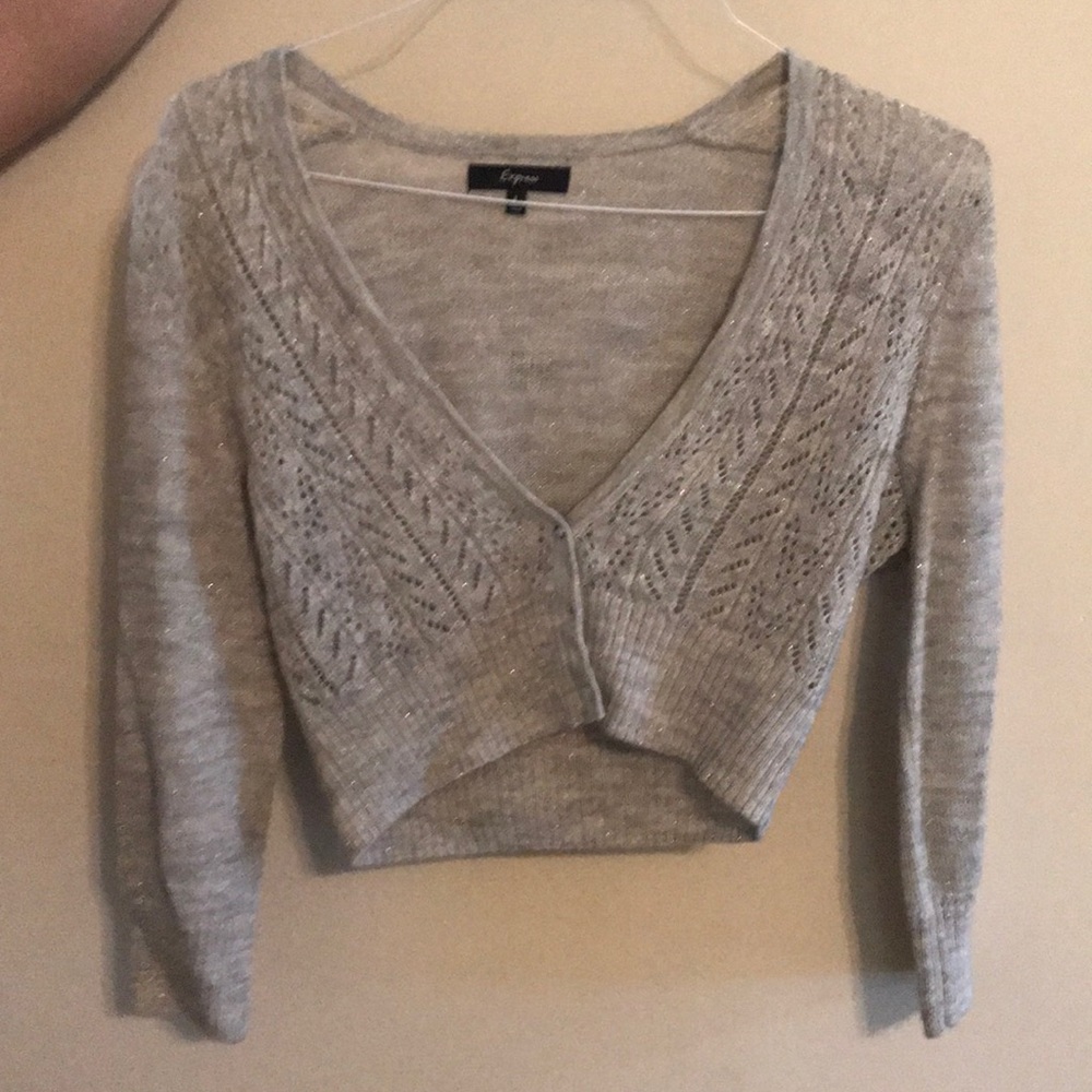 Express sparkly silver sweater