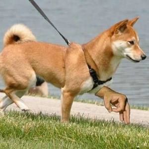 Meet your Posher, Jacob