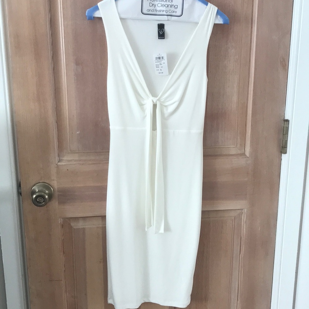 Windsor Fashion Dress New