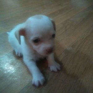 Meet your Posher, Rakeisha