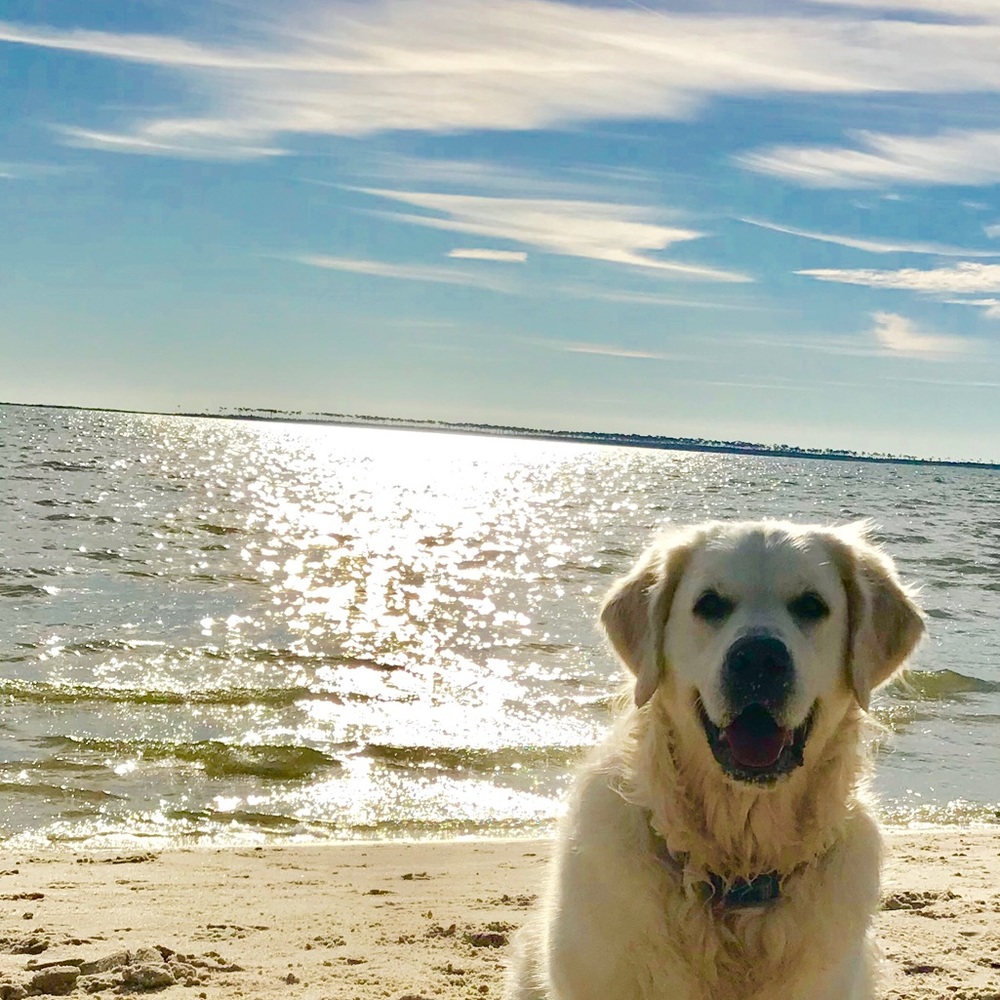 Meet your Posher, Kaitlyn