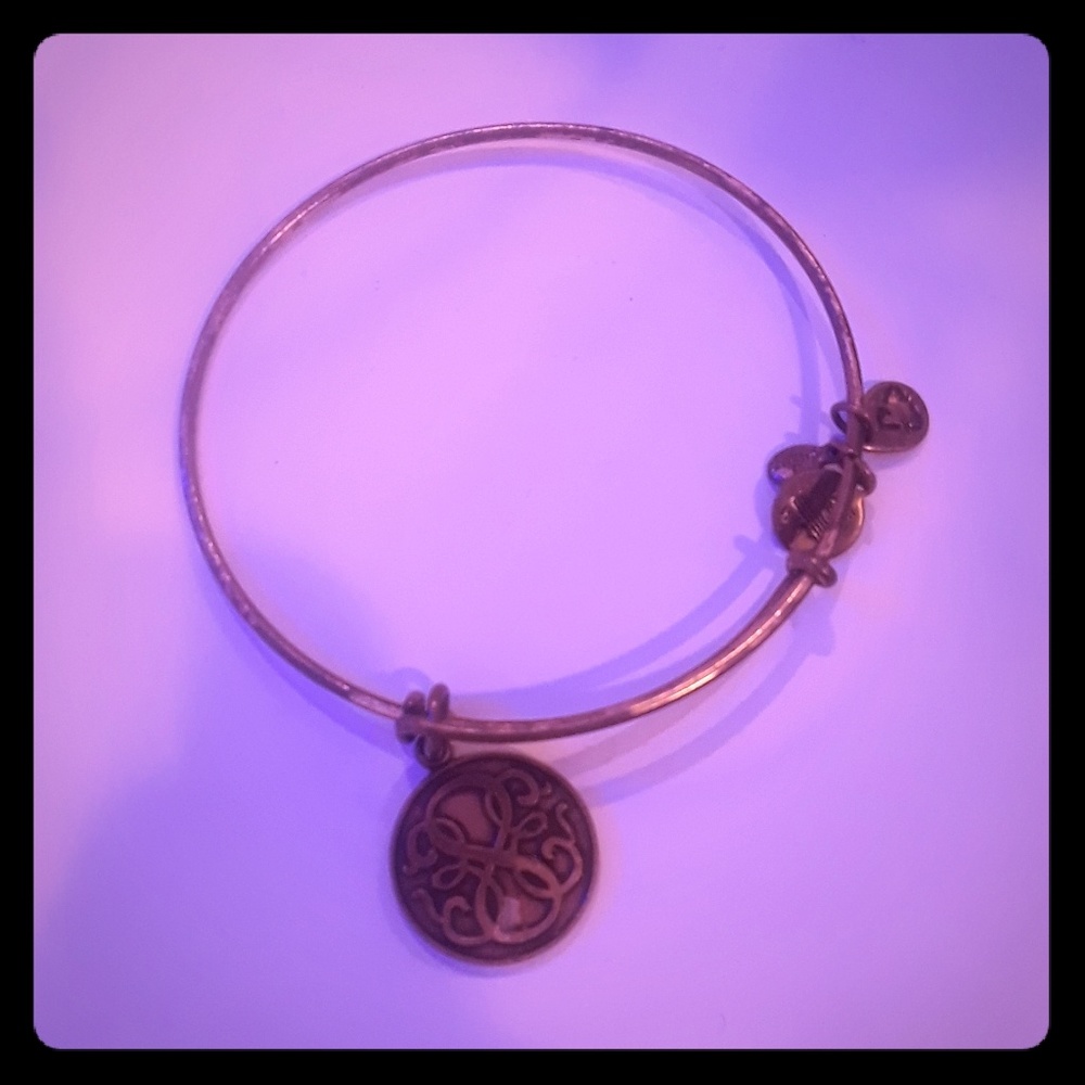 Alex and Ani charm bracelet