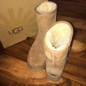 Classic short chestnut uggs