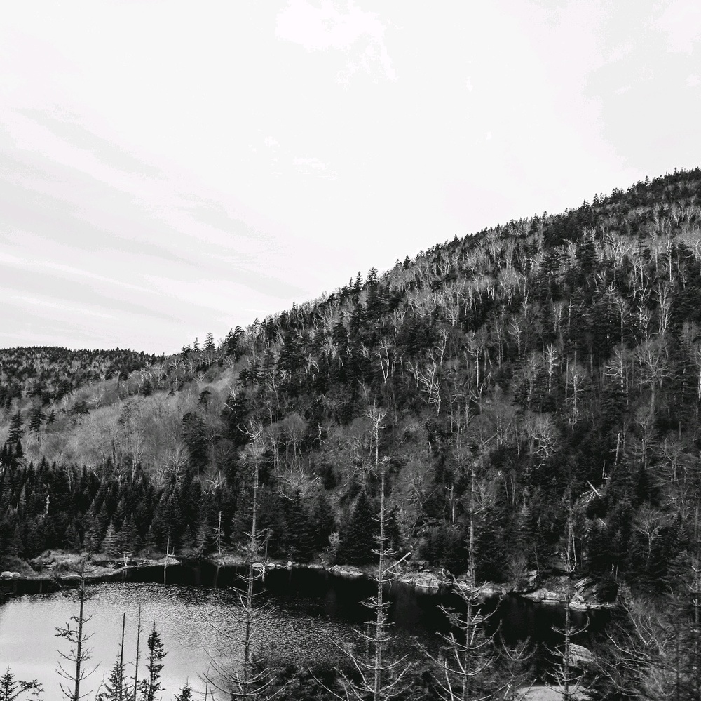 Meet your Posher, Kristin