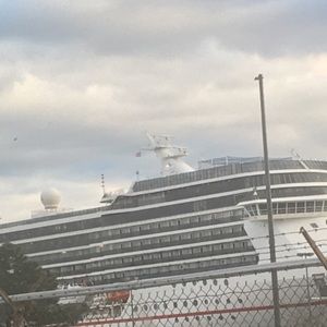 Meet your Posher, Shelby