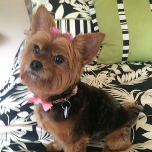 Meet your Posher, Jenneth