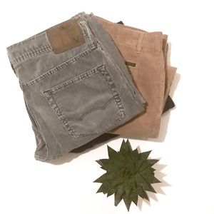 🎉HP | Bundle x3 | men's cords