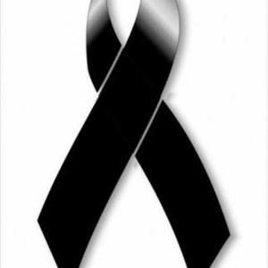 Meet your Posher, Luz