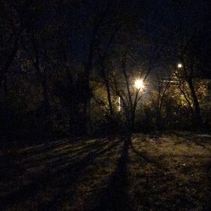 Meet your Posher, Hayden