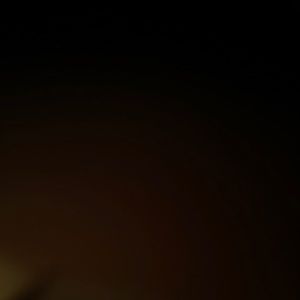 Meet your Posher, Malik