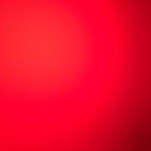 Meet your Posher, Reyna