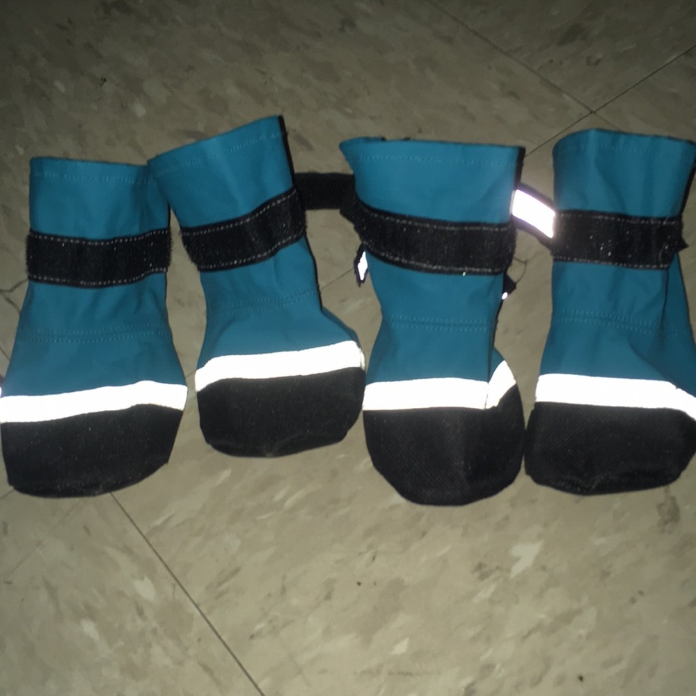 TURQUOISE BLUE MEDIUM DOG BOOTIES, waterproof