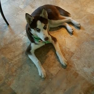 Meet your Posher, Gehidy