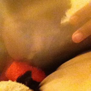 Meet your Posher, Fabian