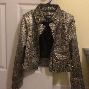 Jacket from the Buckle Only worn twice