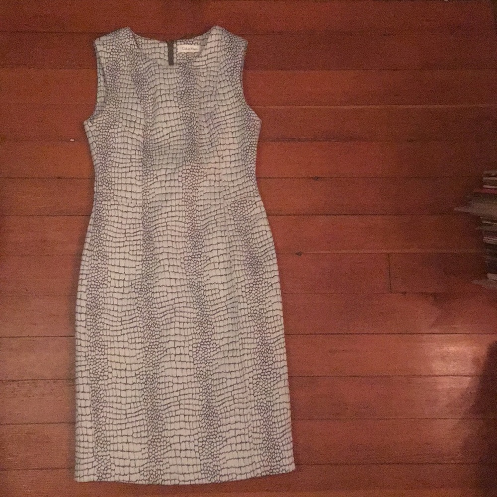Calvin Klein dress, size 4